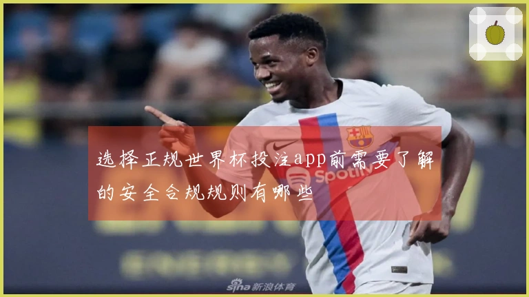 选择正规世界杯投注app前需要了解的安全合规规则有哪些