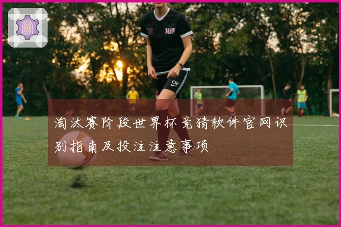 淘汰赛阶段世界杯竞猜软件官网识别指南及投注注意事项