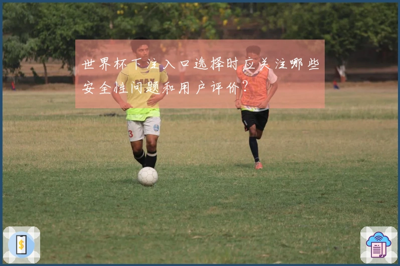 世界杯下注入口选择时应关注哪些安全性问题和用户评价？