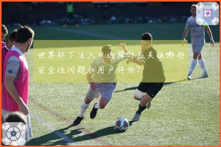 世界杯下注入口选择时应关注哪些安全性问题和用户评价？