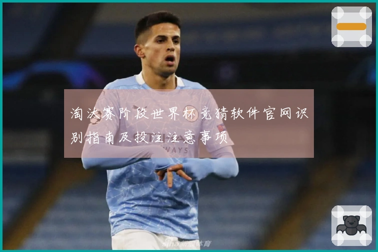 淘汰赛阶段世界杯竞猜软件官网识别指南及投注注意事项