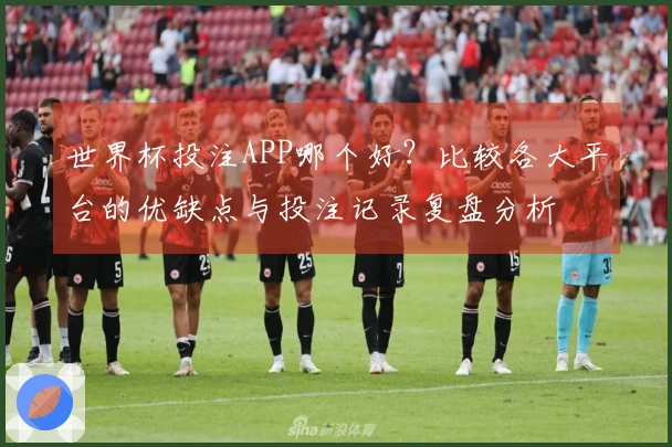 世界杯投注APP哪个好？比较各大平台的优缺点与投注记录复盘分析