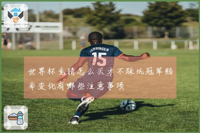 世界杯竞猜怎么买才不踩坑冠军赔率变化有哪些注意事项