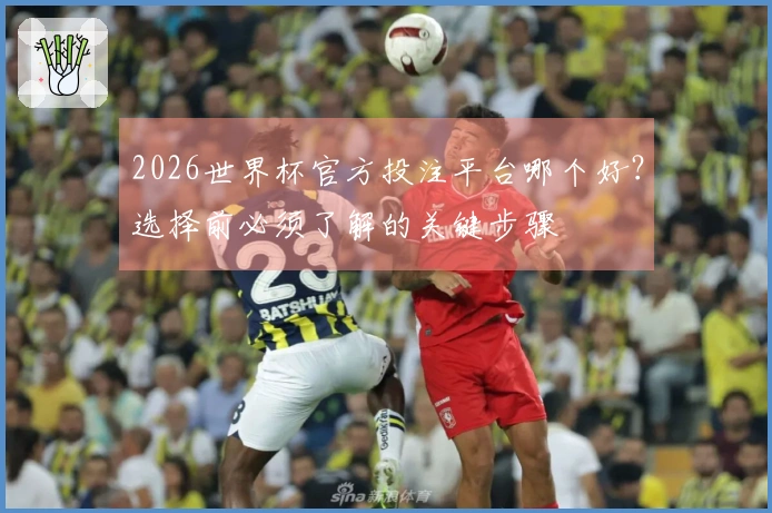 2026世界杯官方投注平台哪个好？选择前必须了解的关键步骤